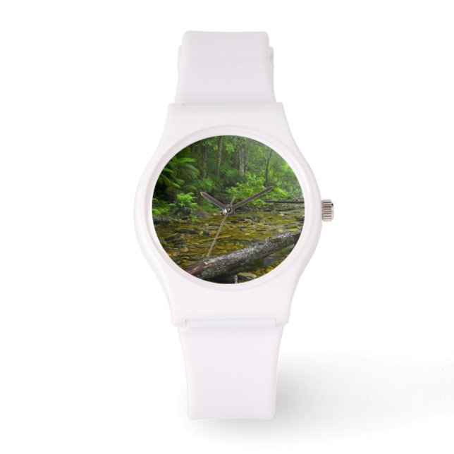 Ånga i skog, Knysna-Amatole Montane Armbandsur (Framsida)