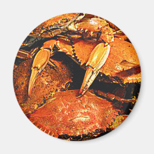 Ångade Maryland hårt krabbor Magnet