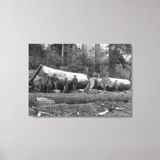 Ångavverkning i Cascades of Washington Stat Canvastryck (Framsida)