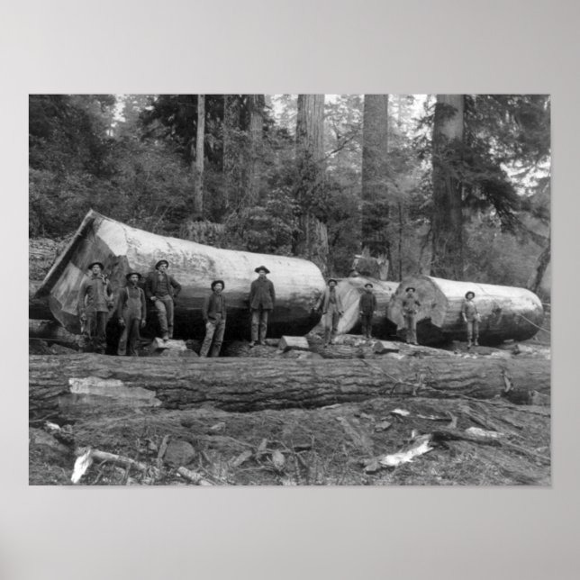 Ångavverkning i Cascades of Washington Stat Poster (Framsidan)