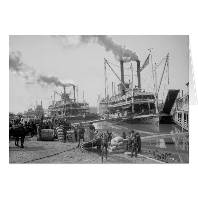 Ångbåtar vid Vicksburg, 1910 Hälsningskort (Framsidan Horizontal)
