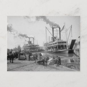 Ångbåtar vid Vicksburg, 1910 Vykort