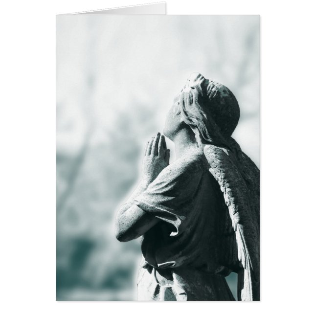 Ångbön (lodrät) OBS kort (Framsidan)