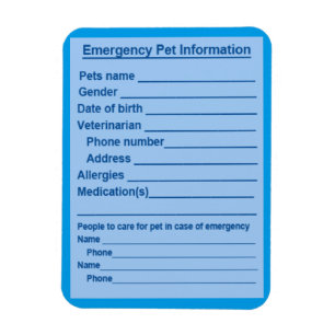 Ange Akut Information Magnet