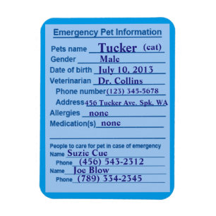 Ange Akut Information Magnet