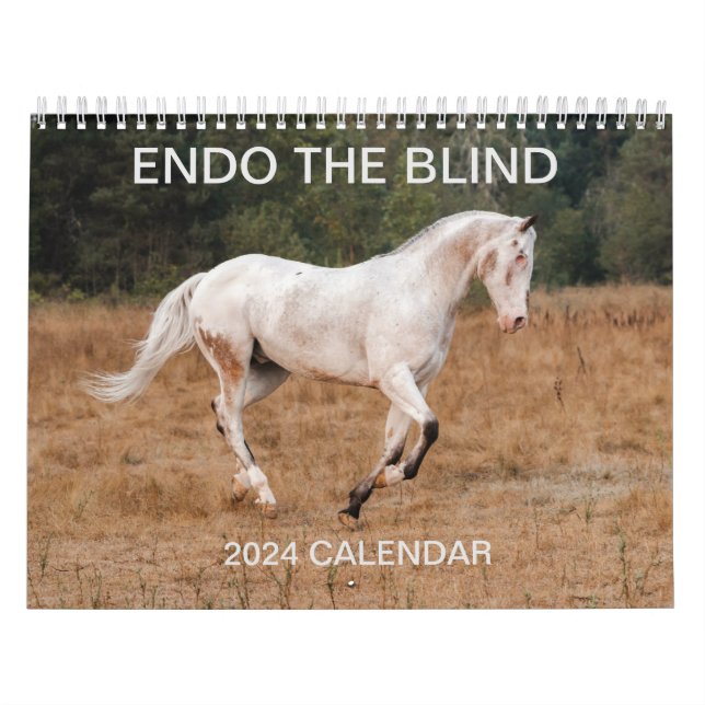 ANGE BLINDEN - Kalender 2024 (Omslag)