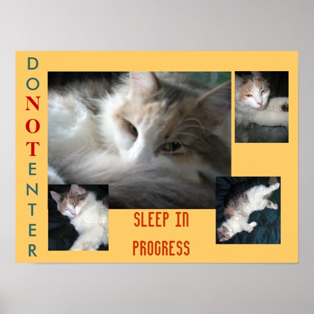 ANGE INTE.... POSTER (Framsidan)