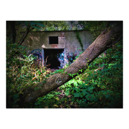 "Ange om CrAzY tillräckligt" Fototryck