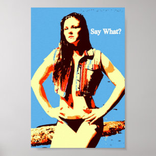 ange vilken attityd som poster