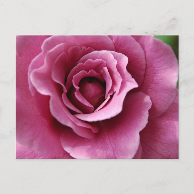 Angel Ansikte II-vykort Vykort (Framsida)