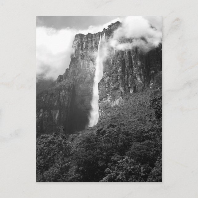 Angel Falls in Black & White Vykort (Framsida)