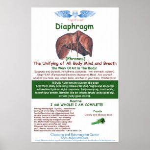 Angel Farms Diafragm-diagram Poster