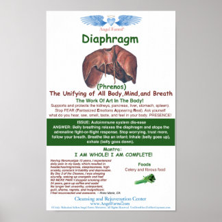 Angel Farms Diafragm-diagram Poster