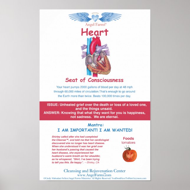 Angel Farms Heart-diagram Poster (Framsidan)