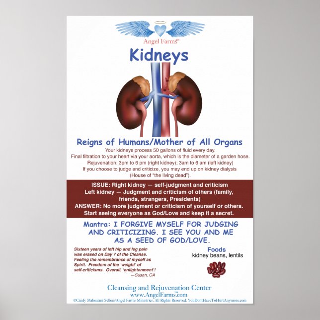 Angel Farms Kidney Chart Poster (Framsidan)
