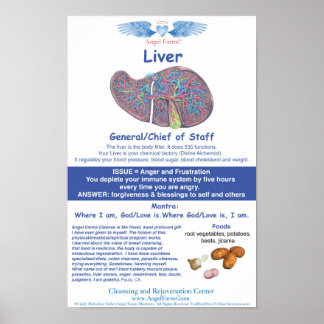 Angel Farms Liver-diagram Poster