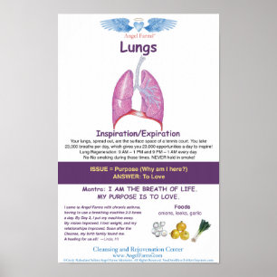 Angel Farms Lung Chart Poster
