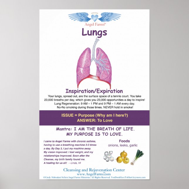 Angel Farms Lung Chart Poster (Framsidan)
