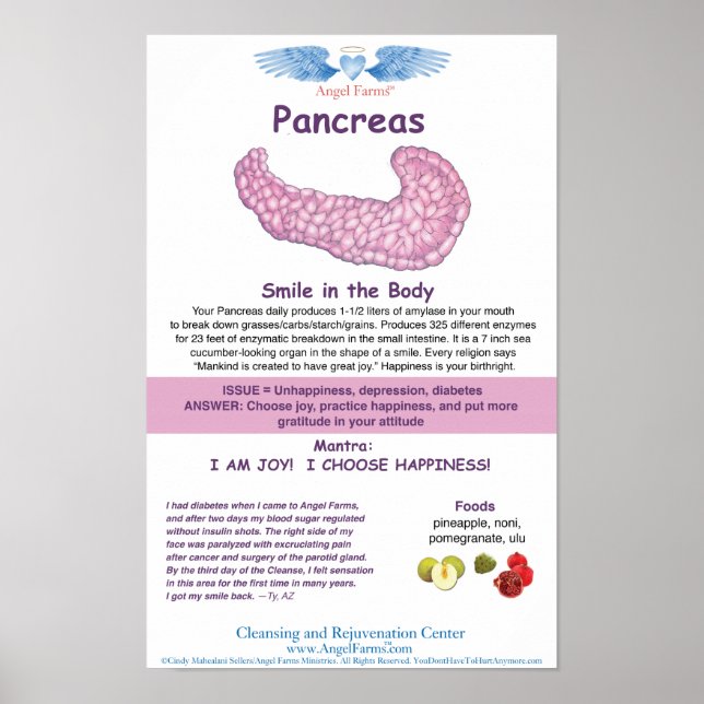 Angel Farms Pancreas-diagram Poster (Framsidan)