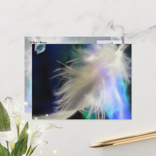 Angel Feather, vykort