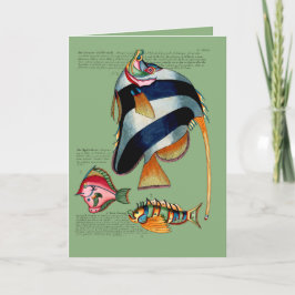 Angel Fish and Friends Helgkort