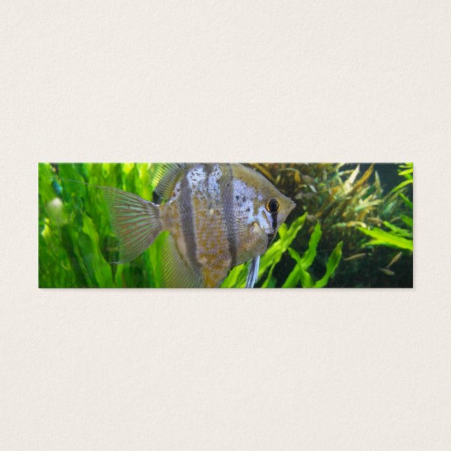 Angel Fish Bookmark Litet Visitkort (Framsidan)