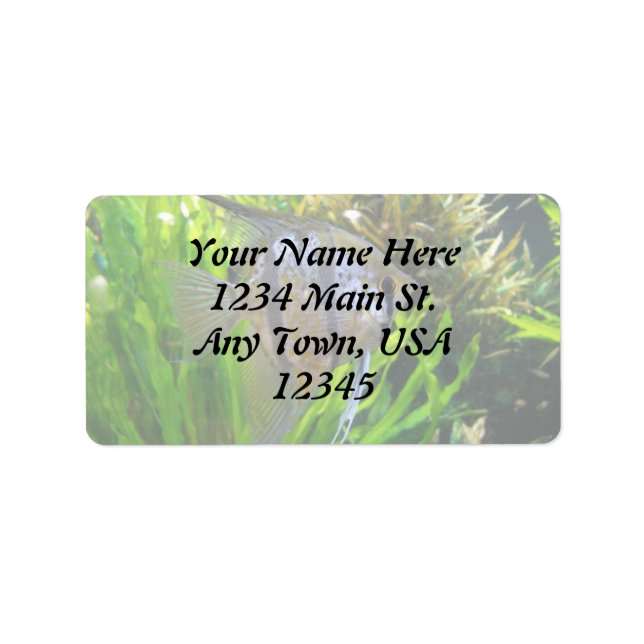 Angel Fish Label Adressetikett (Framsidan)