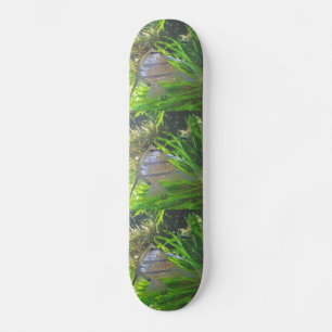 Angel Fish Old School Skateboard Bräda 21,6 Cm