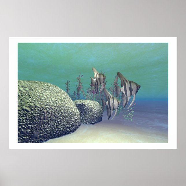 ANGEL FISH PRINT POSTER (Framsidan)