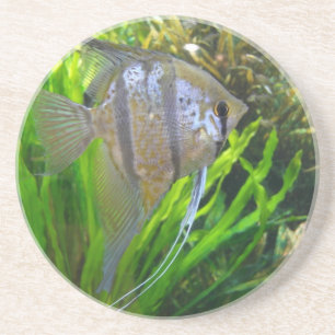 Angel Fish Underlägg Sandsten