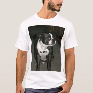 Ängel för Boston Terrieroskyldig Tee Shirt
