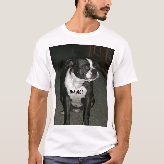 Ängel för Boston Terrieroskyldig Tee Shirt (Framsida)