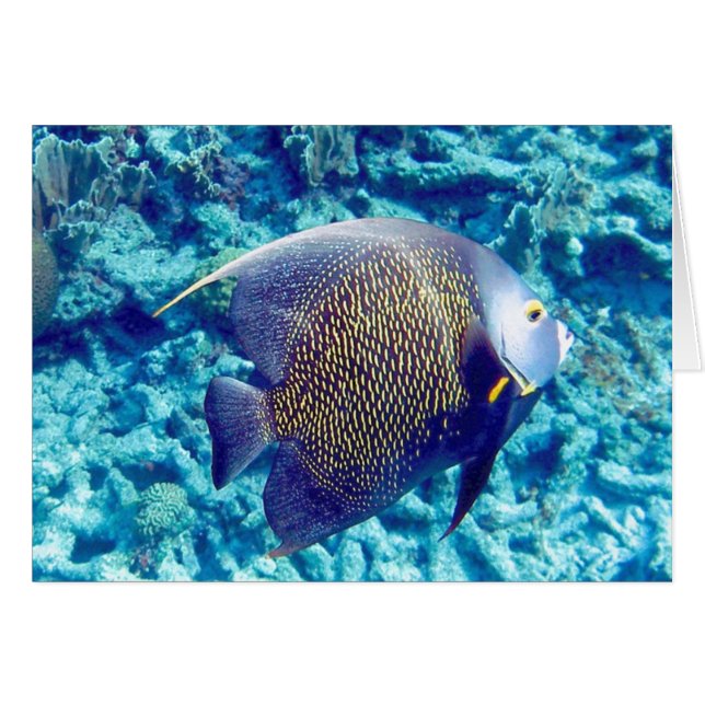 Angel Hälsningskort (Framsidan Horizontal)