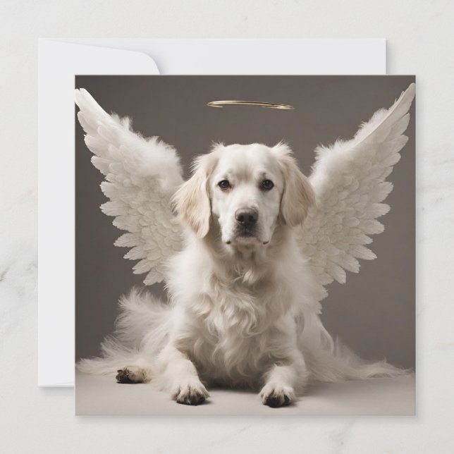 Angel Hund Kort (Framsida)