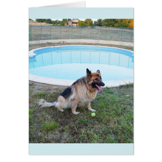 Angel hund sitta med boll hälsningskort (Framsidan)