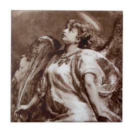 ANGEL I BROWN SEPIA OCH WHITE KAKELPLATTA
