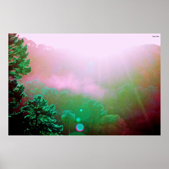 Angel Island Poster - X-Large (38 x 25,4 tum) (Framsidan)