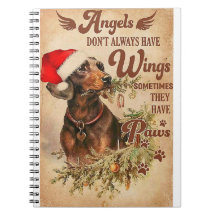 Angel Jul Dachshunds