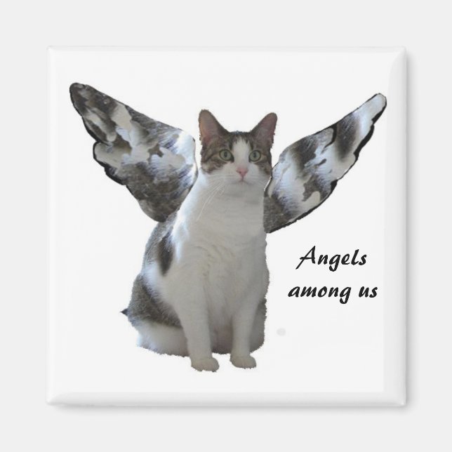 Angel Kattunge Magnet (Framsidan)