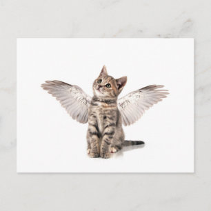 angel kattunge vykort