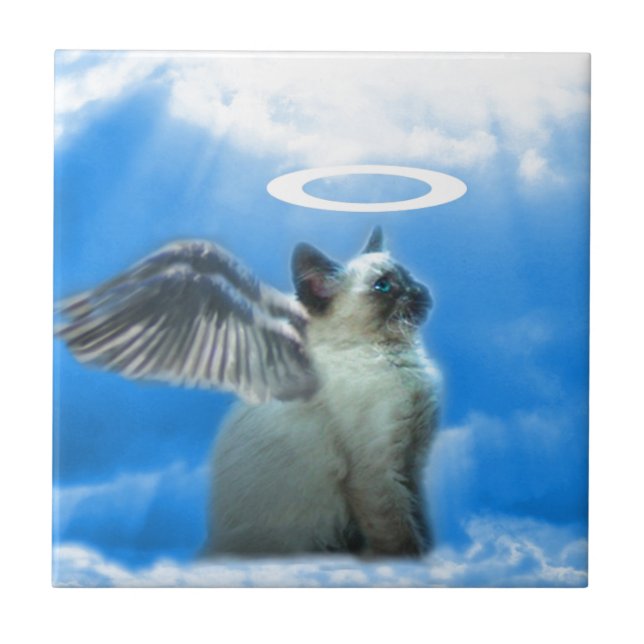 Angel Kitten Cat Kakelplatta (Framsidan)