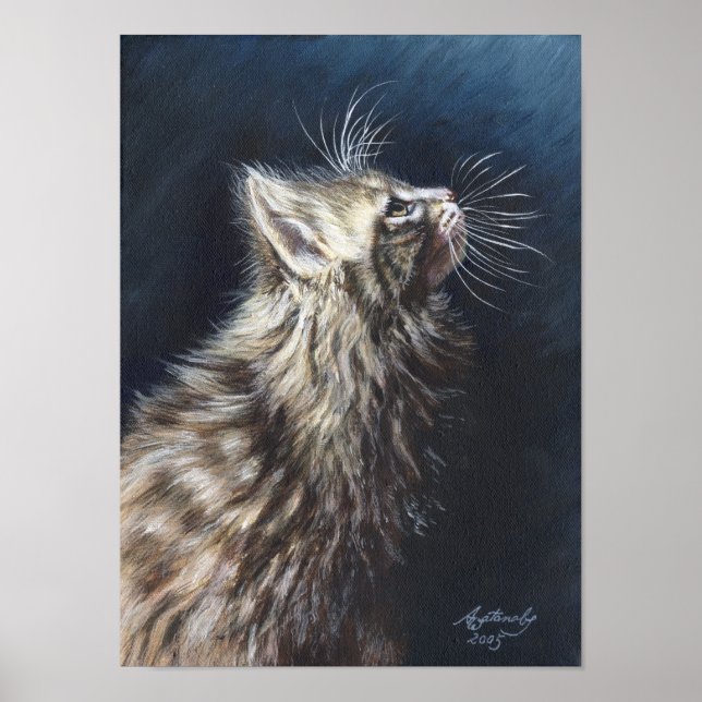 Angel Light Maine Coon Cat Art poster (Framsidan)
