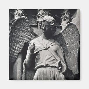 Angel med en sjömil magnet
