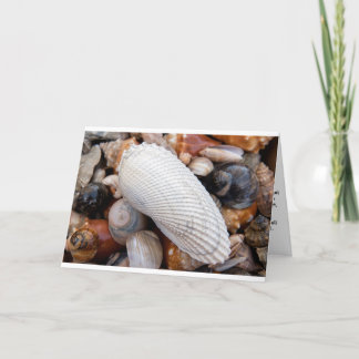 Angel med One Vinge Kort