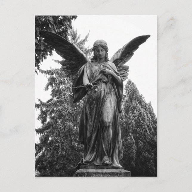 Angel med uppslaget Vingar som håller en blomma Vykort (Framsida)