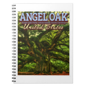 ANGEL OAK - CHARLESTON SOUTH CAROLINA US ANTECKNINGSBOK