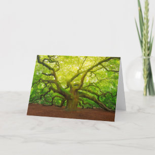 Angel Oak Kort