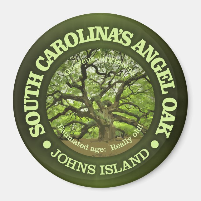 Angel Oak Magnet (Framsidan)