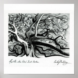 Angel Oak Poster