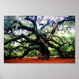 Angel Oak Poster